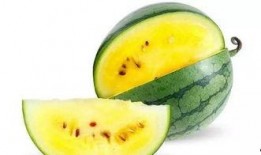 临沂吃瓜最新事件爆料,揭秘背后真相与争议焦点