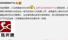 smg最新爆料,揭秘娱乐圈最新动态与幕后真相